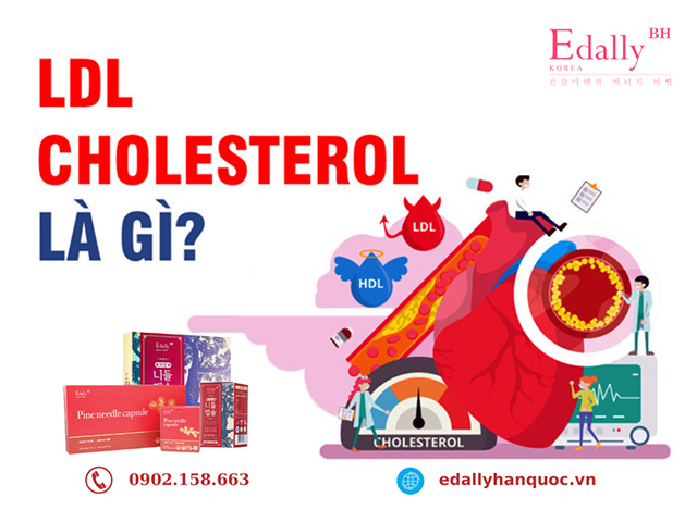 Chỉ số mỡ máu LDL cholesterol là gì?