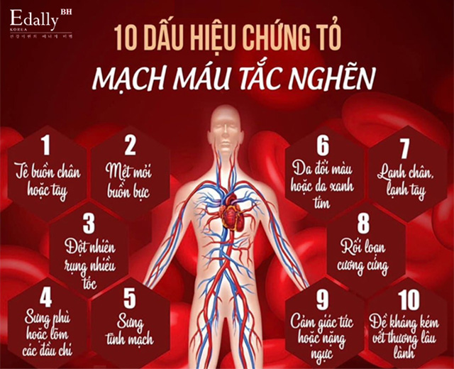 10 dấu hiệu chứng tỏ máu lưu thông kém