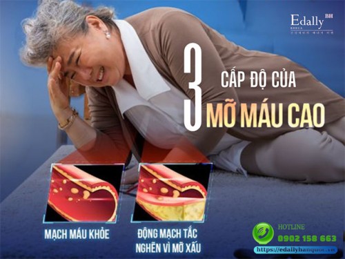 3 Cấp Độ Nguy Hiểm Của Mỡ Máu Cao Ai Cũng Nên Biết 