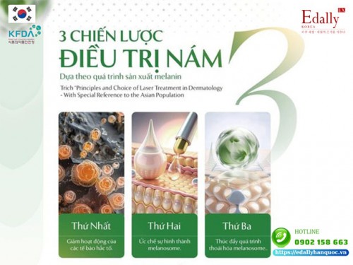 3 Chiến Lược Điều Trị Nám Dựa Theo Quá Trình Sản Xuất Melanin