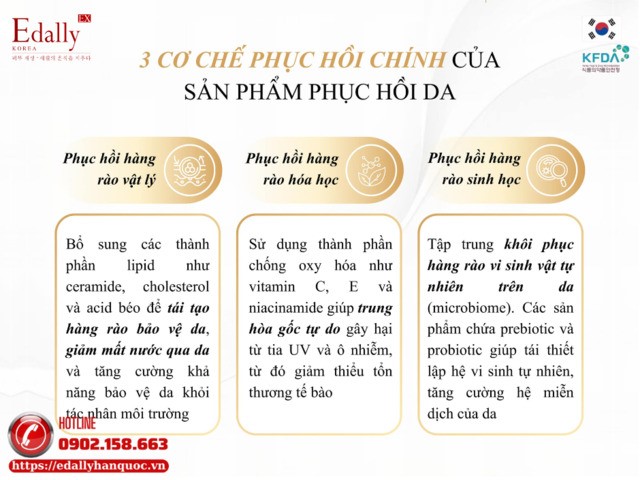 3 cơ chế phục hồi chính của sản phẩm phục hồi da