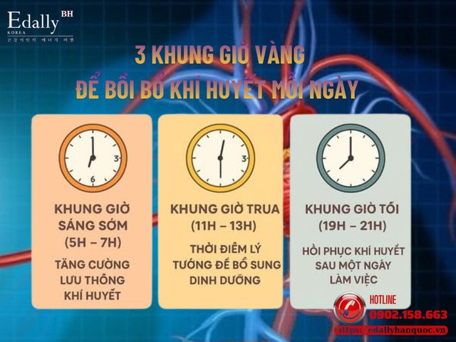 3 khung giờ vàng để bồi bổ khí huyết mỗi ngày 3 khung giờ vàng để bồi bổ khí huyết mỗi ngày