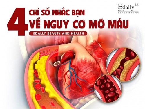 4 Chỉ Số Nhắc Bạn Về Nguy Cơ Mỡ Máu Cao