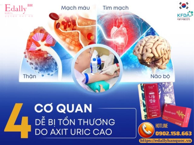 4 cơ quan trong cơ thể dễ bị tổn thương do tăng acid uric máu