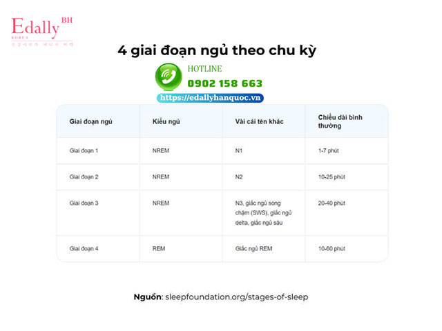 4 giai đoạn ngủ theo chu kỳ