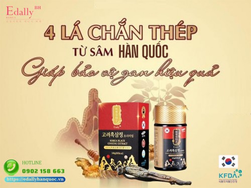 4 Lá Chắn Thép Từ Nhân Sâm Hàn Quốc Giúp Bảo Vệ Gan Hiệu Quả