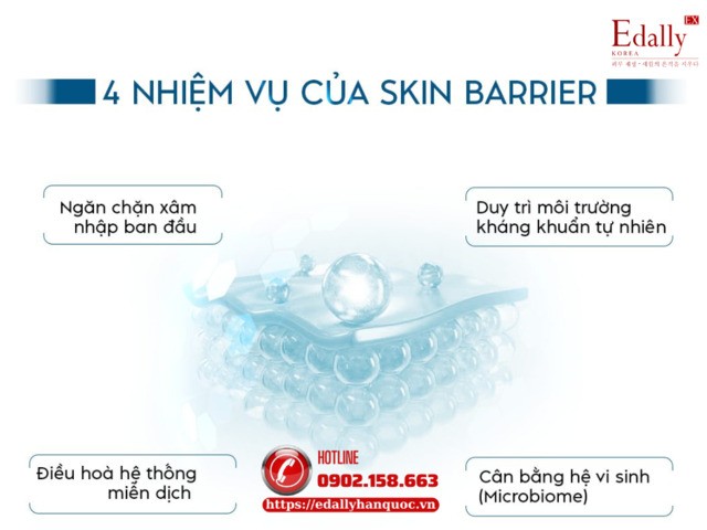 4 nhiệm vụ của hàng rào bảo vệ da (skin barrier)