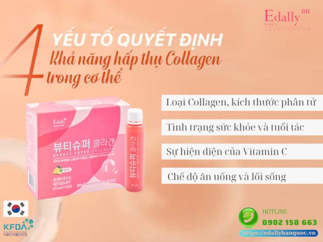 4 yếu tố quyết định khả năng hấp thụ collagen trong cơ thểcon người