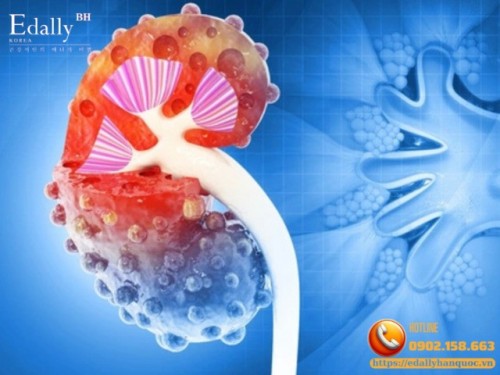 Có Liệu Pháp Hay Thuốc Mới Nào Trong 5-10 Năm Qua Giúp Phát Hiện Sớm Và Làm Chậm Tiến Triển Của Bệnh Thận Mạn (CKD) Không?
