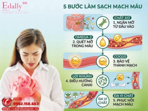 Cách Làm Sạch Mạch Máu Từ Gốc: 5 Bước Tổng Vệ Sinh Hệ Tuần Hoàn Toàn Diện