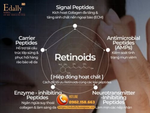 5 Cách Hiệp Đồng Peptides Cùng Retinoids Toàn Năng