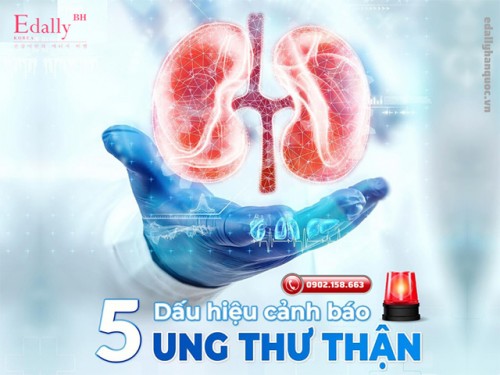 5 Dấu Hiệu Cảnh Báo Ung Thư Thận