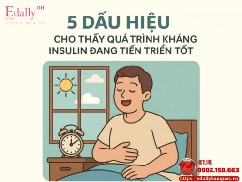 5 Dấu Hiệu Cho Thấy Quá Trình Kháng Insulin Của Bạn Đang Tiến Triển Tốt Lên