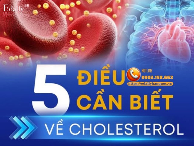 5 điều cần biết về cholesterol trong cơ thể