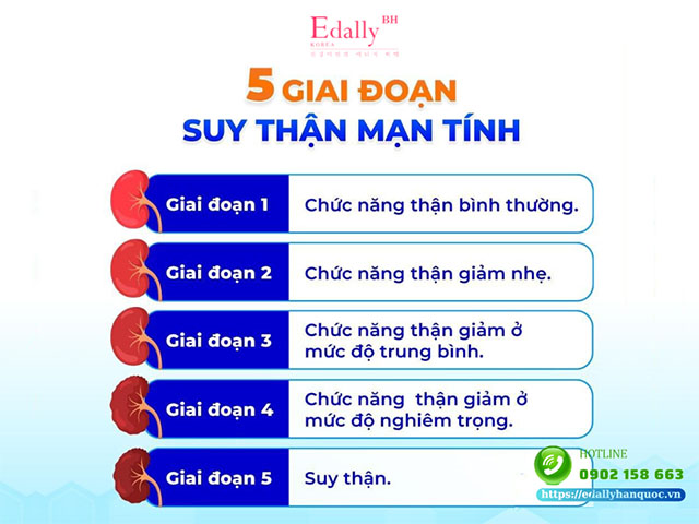 5 giai đoạn của bệnh suy thận mạn tính và những điều cần biết để cải thiện bệnh