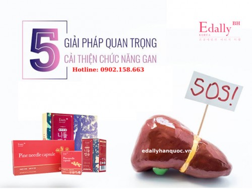 Giải Pháp Cải Thiện Chức Năng Gan Hiệu Quả Và Nhanh Chóng