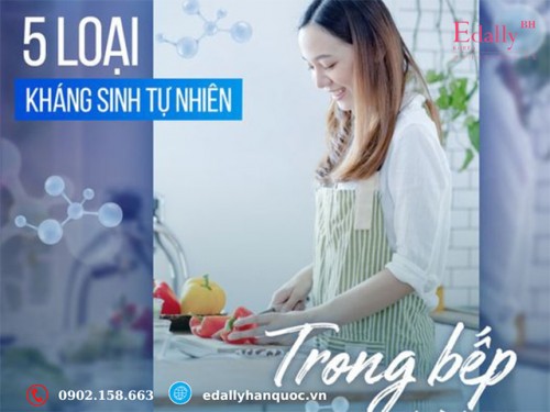 5 Loại Kháng Sinh Tự Nhiên Trong Bếp Nhà Bạn