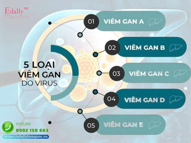 Có 5 loại viêm gan do virus siêu vi gây ra