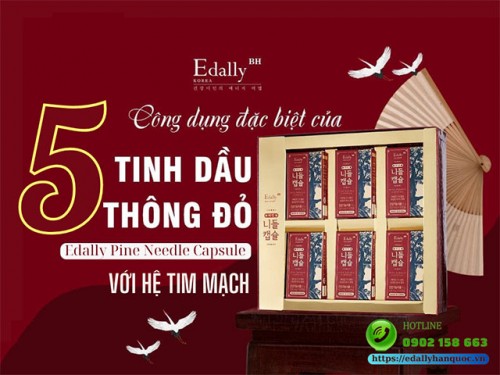 5 Lợi Ích Không Tưởng Của Tinh Dầu Thông Đỏ Với Hệ Tim Mạch