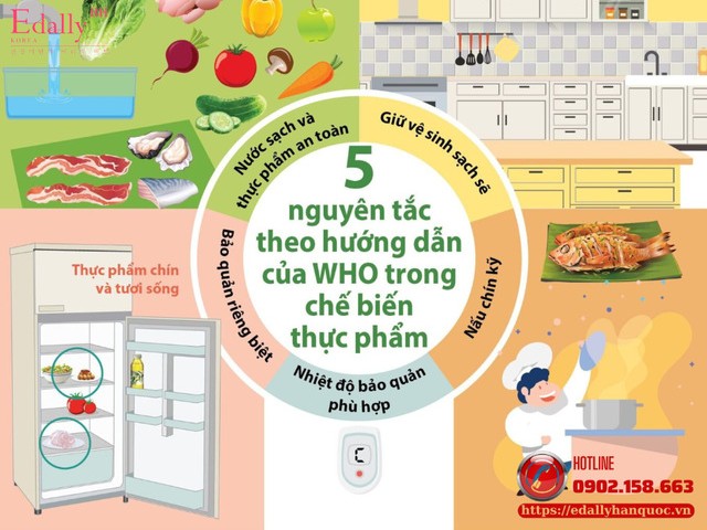 Sai Lầm Và Giải Pháp Của Bữa Ăn Hàng Ngày - Chìa Khóa Vàng Cho Sức Khỏe Gia Đình