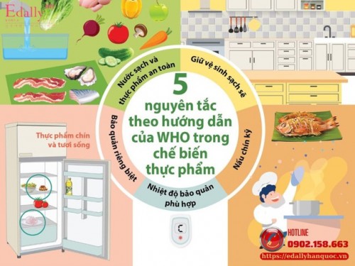 Sai Lầm Và Giải Pháp Của Bữa Ăn Hàng Ngày - Chìa Khóa Vàng Cho Sức Khỏe Gia Đình Sai Lầm Và Giải Pháp Của Bữa Ăn Hàng Ngày - Chìa Khóa Vàng Cho Sức Khỏe Gia Đình