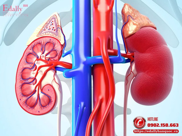 5 sai lầm khiến bệnh cầu thận nặng lên mà người bệnh hay mắc phải