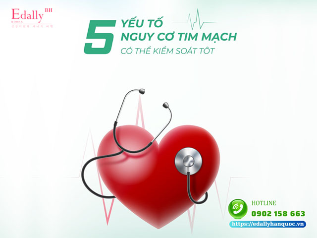 5 yếu tố nguy cơ gây bệnh tim mạch có thể kiểm soát tốt