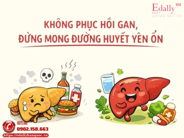 Vì sao gan quyết định sự ổn định đường huyết ở người bệnh tiểu đường?