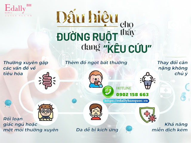 6 dấu hiệu cho thấy đường ruột của bạn đang kêu cứu