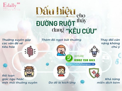 Dấu Hiệu Cho Thấy Đường Ruột Của Bạn Đang Kêu Cứu