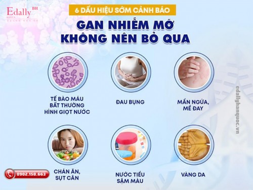 6 Dấu Hiệu Sớm Cảnh Báo Gan Nhiễm Mỡ