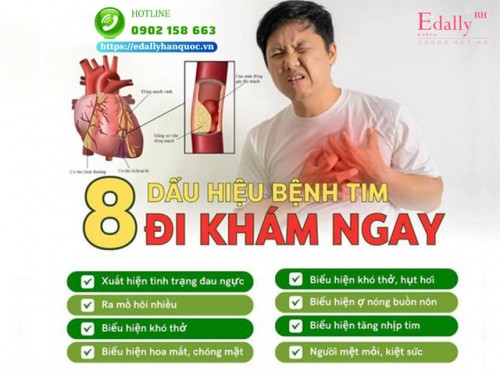 8 Dấu Hiệu Của Bệnh Tim Cần Đi Khám Ngay