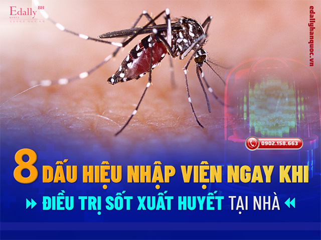 Khi nào người bệnh sốt xuất huyết Dengue cần phải nhập viện ngay để điều trị?