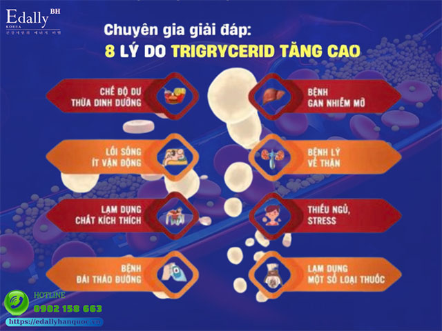 8 lý do khiến chỉ số Triglyceride trong máu tăng cao