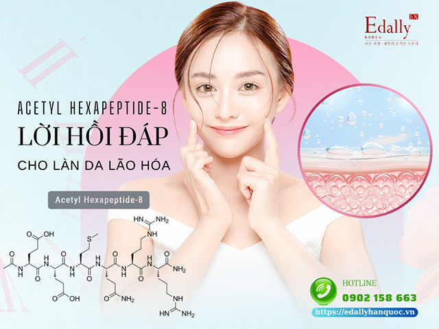 Acetyl Hexapeptide-8 - Lời hồi đáp cho làn da lão hóa