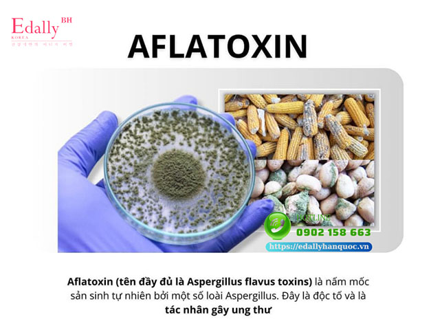 Aflatoxin - Thủ phậm gây ung thư ngay trong gian bếp nhà bạn