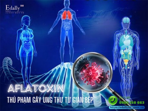 Aflatoxin - Thủ Phạm Gây Ung Thư Ngay Trong Gian Bếp Nhà Bạn