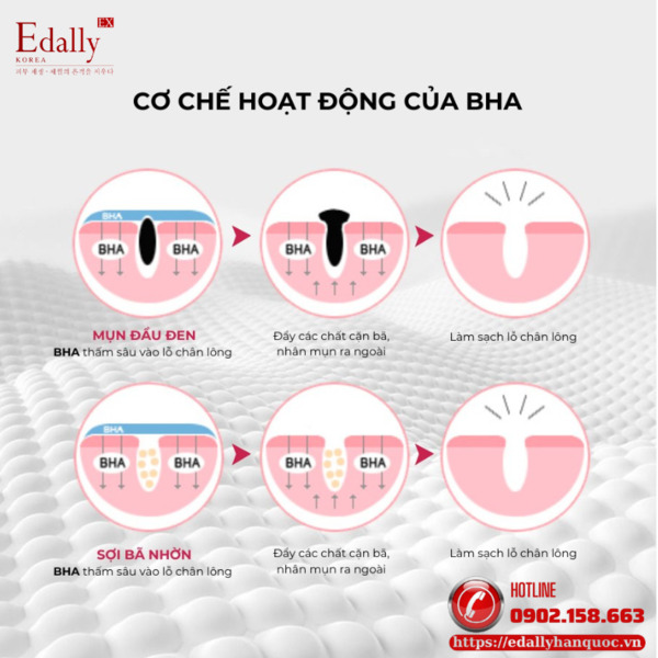 BHA hoạt động theo cơ chế nào?