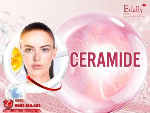 Ceramide Có Tác Dụng Gì Trong Chăm Sóc Da Và Nên Kết Hợp Với Hoạt Chất Nào?