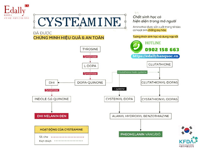 Cysteamine đã được chứng minh an toàn trong điều trị nám và sắc tố thay thế Hydroquinone