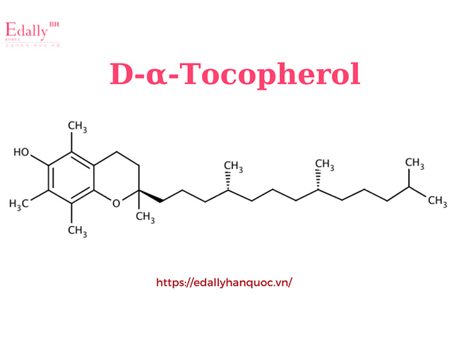 Cơ bản dl-alpha tocopherol là gì và tác dụng trong cơ thể