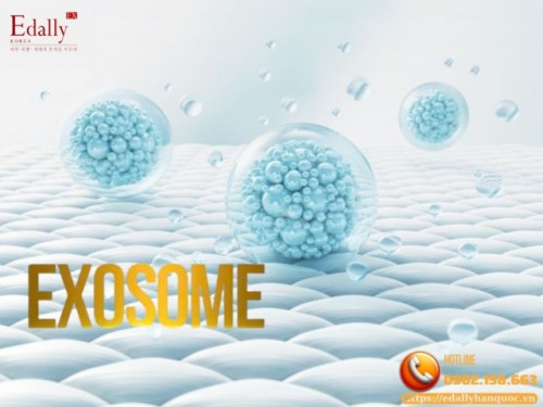 Exosome Trong Thẩm Mỹ, Da Liễu Và Những Điều Cần Biết 