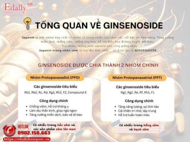 Ginsenoside là loại Saponin đặc biệt chỉ có trong Nhân sâm với nhiều công dụng giá trị cho sức khỏe