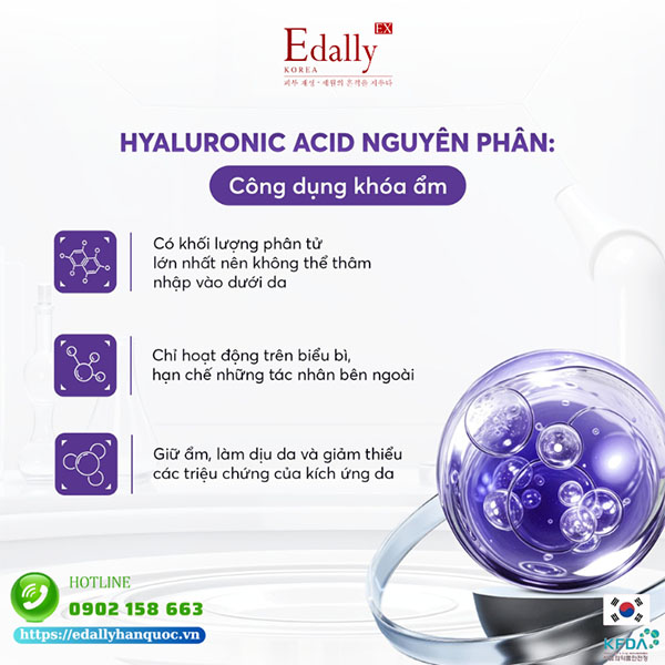 Tác dụng khóa ẩm của Hyaluronic Acid (HA) nguyên phân