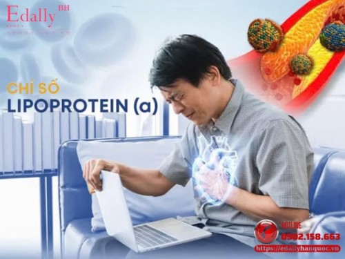 Lipoprotein(a) Là Gì, Gây Hại Gì Cho Sức Khỏe Và Làm Sao Để Kiểm Soát Hiệu Quả?