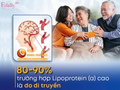 Lipoprotein(a) - Yếu Tố Di Truyền Tăng Nguy Cơ Nhồi Máu Cơ Tim