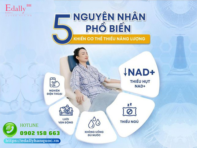 Thiếu hụt NAD+ là nguyên nhân khiến cơ thể thiếu hụt năng lượng