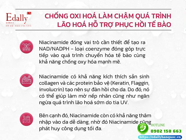 Niacinamide trong mỹ phẩm có tác dụng chống oxi hoá làm chậm quá trình lão hóa, hỗ trợ phục hồi tế bào