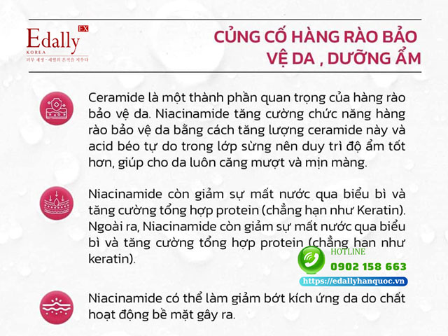 Niacinamide trong mỹ phẩm có tác dụng củng cố hàng rào bảo vệ da và dưỡng ẩm