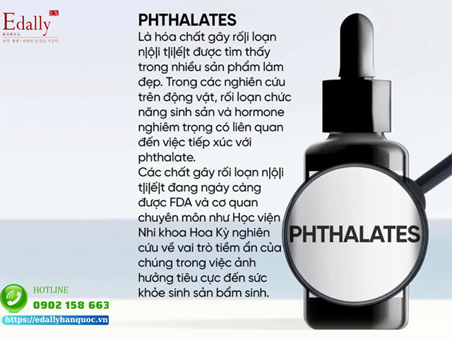 Phthalates là chất độc hại trong mỹ phẩm mẹ bầu cần tránh ngay